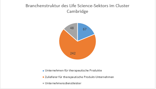  Das Diagramm zeigt die Branchenstruktur des Life-Science-Sektors im Cluster Cambridge. Darin wird deutlich, dass der Großteil der Life Science-Unternehmen den Zulieferern für therapeutische Produkt-Unternehmen zugerechnet werden kann.