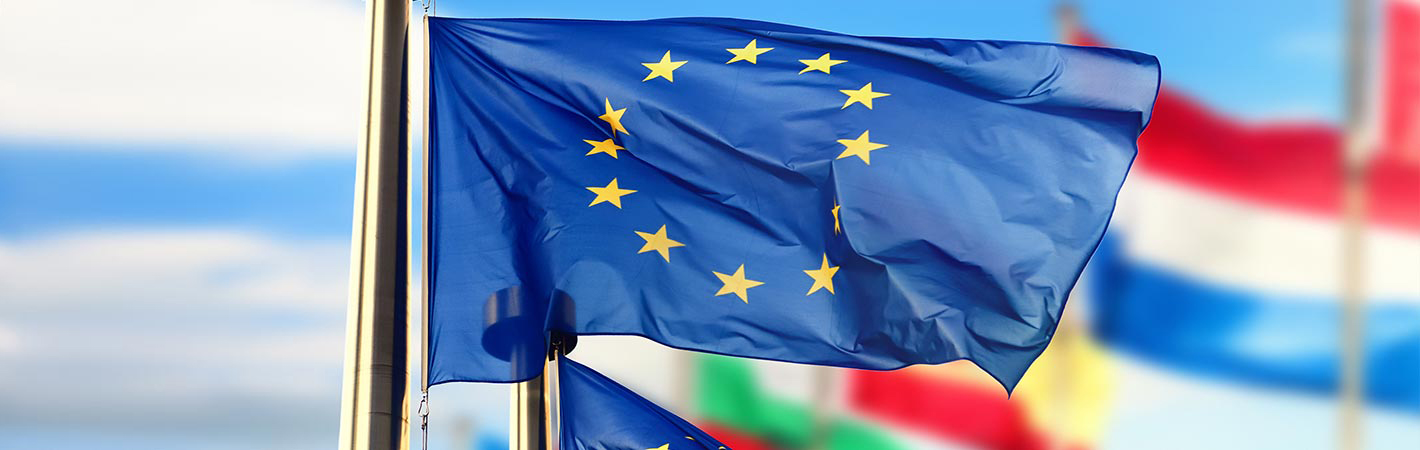 EU-Flagge vor blauem Himmel und nationalen Flaggen der Mitgliedsländer
